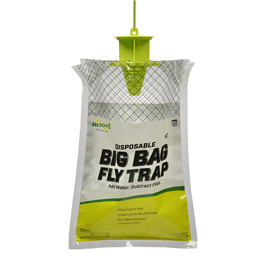 Fly Bait Trap